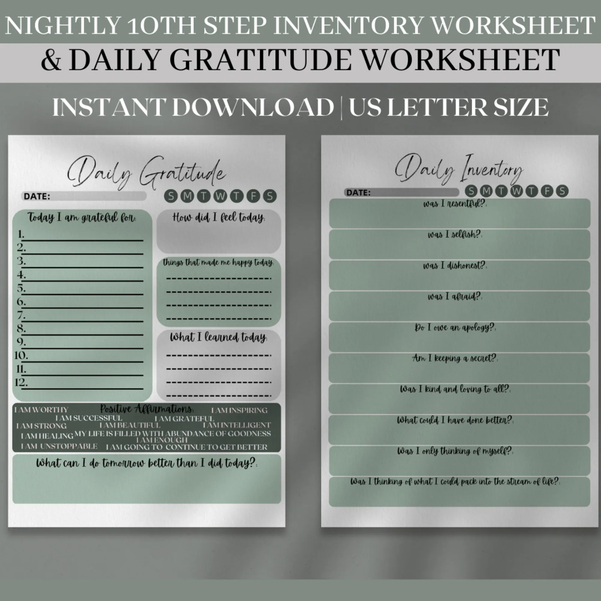 10th Step Nightly Inventory Worksheet Daily Gratitude Journal 