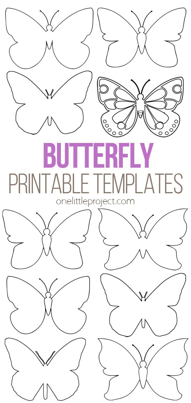 Free Butterfly Template Printable