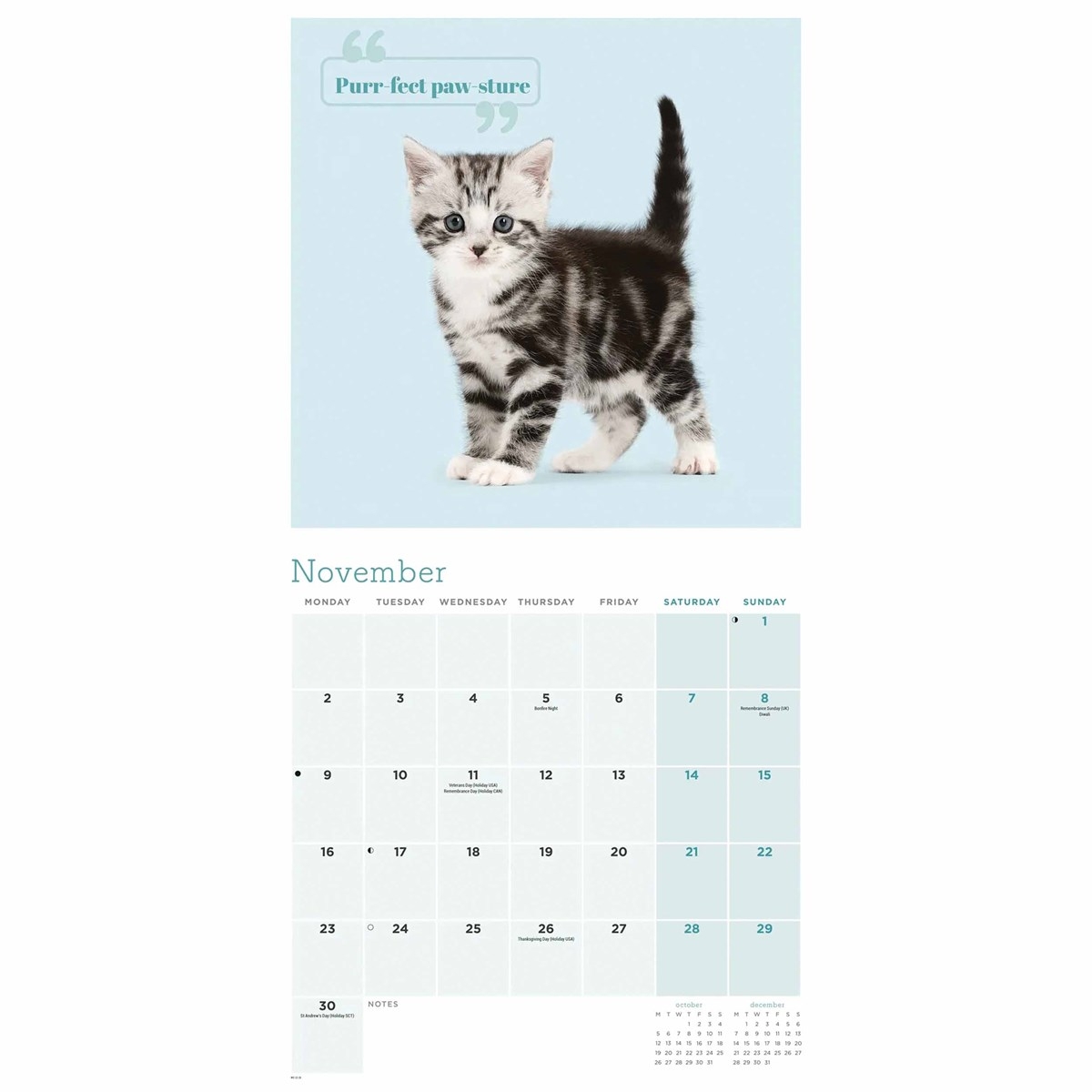 Free Printable Kitten Calendar 2026 November