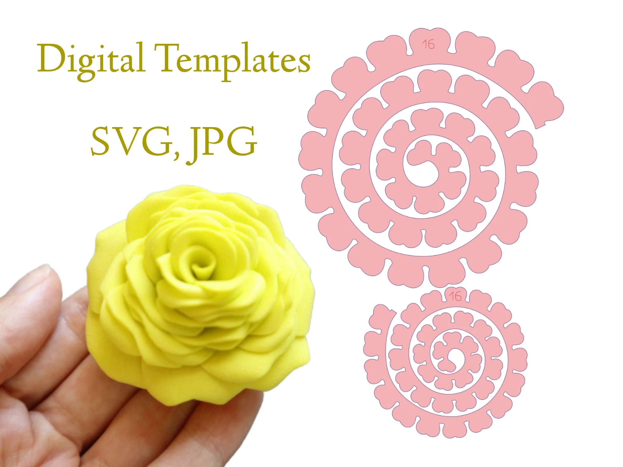 Digital Spiral Flower Petals Template SVG JPG Format N 16 Etsy