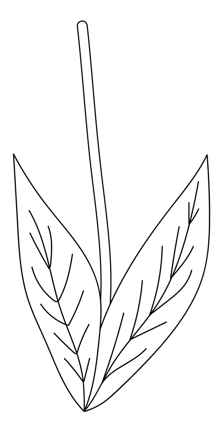 Flower Stem Template Printable