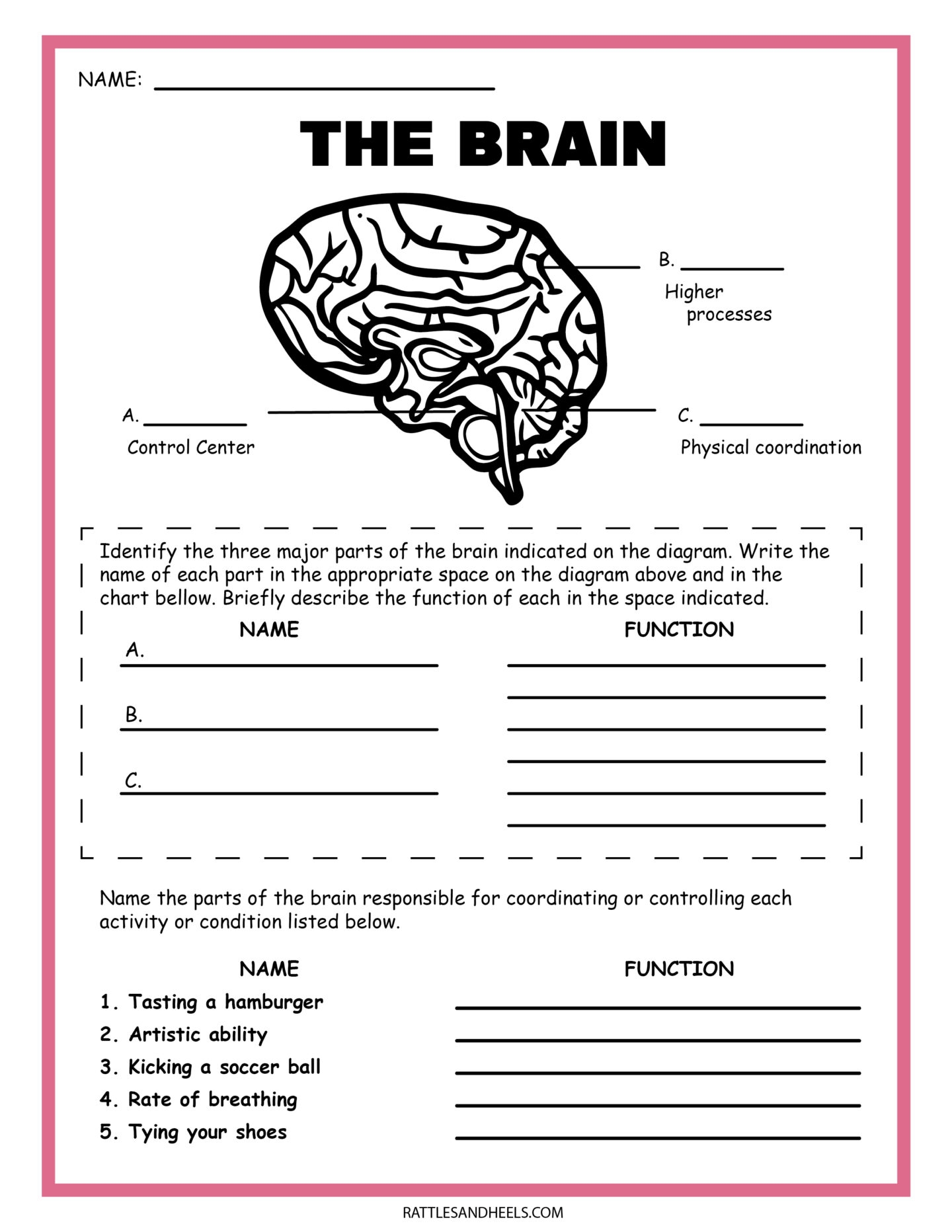 Free Custom Printable Science Worksheet Templates Canva 