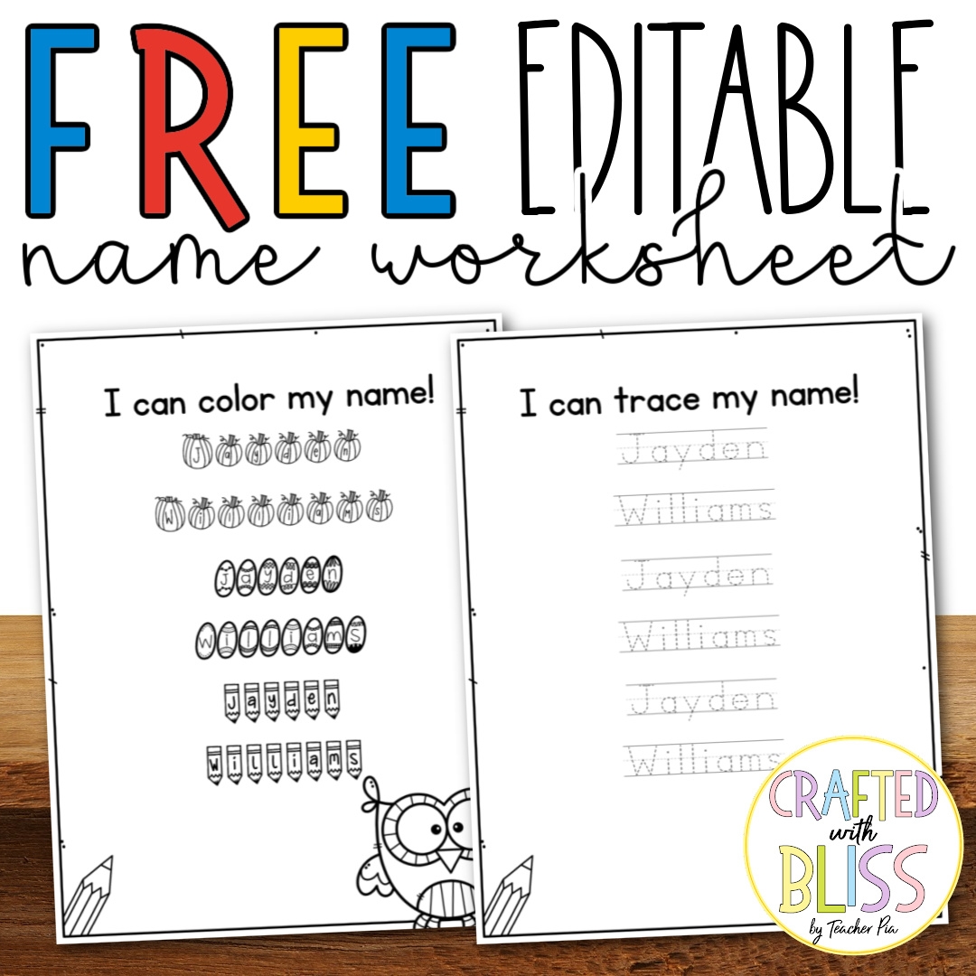 FREE EDITABLE Name Practice Worksheet Preschool Sped 