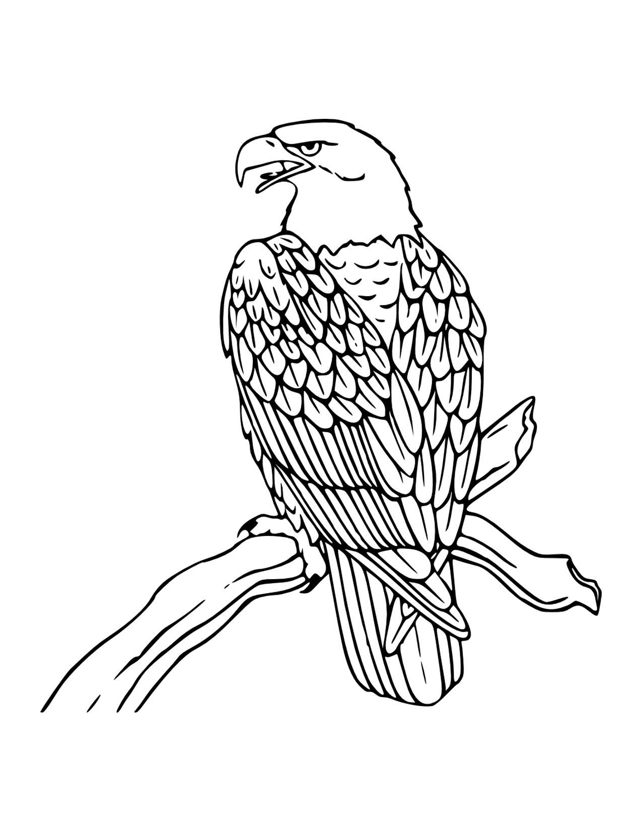 Free Printable Images Of Eagles