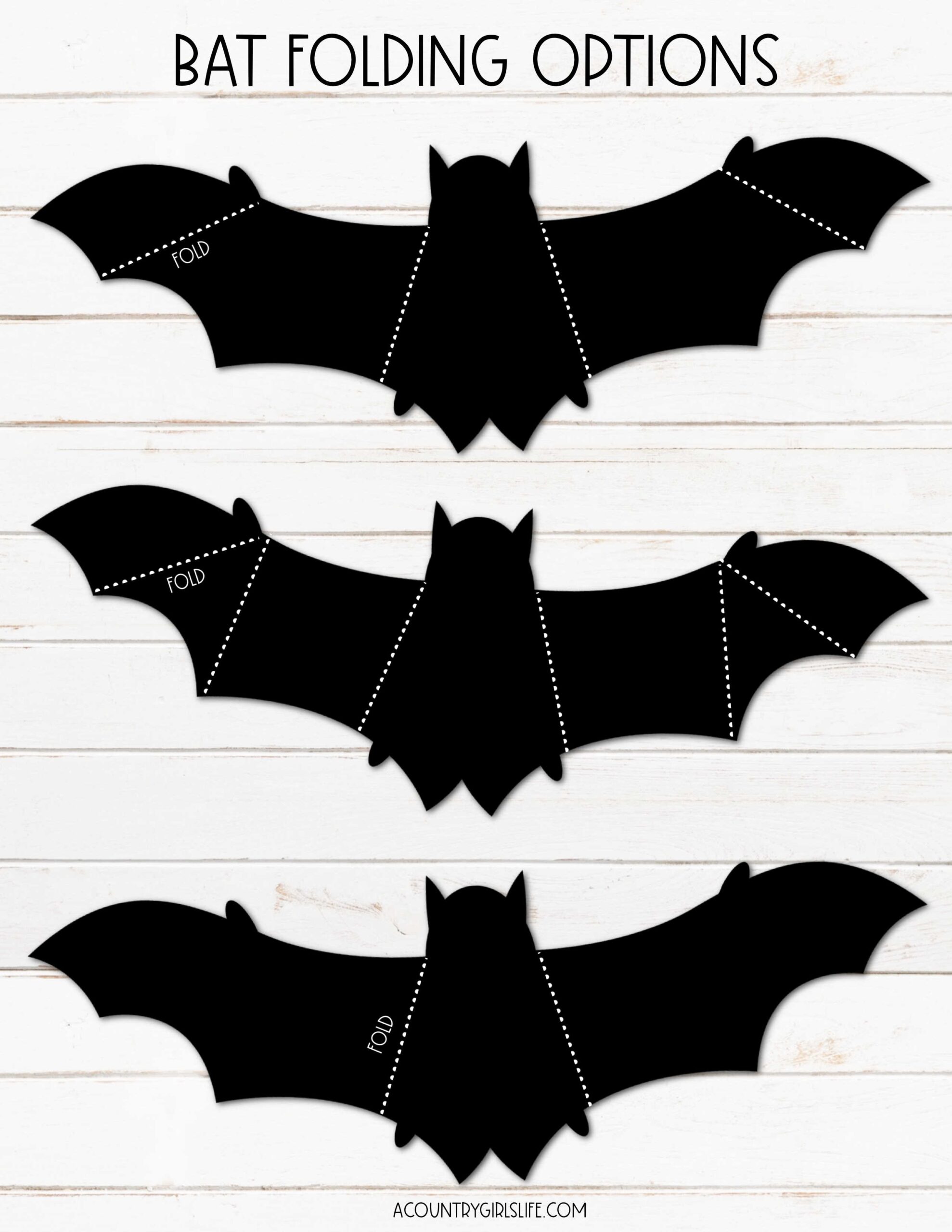 Free Printable Bat Worksheets