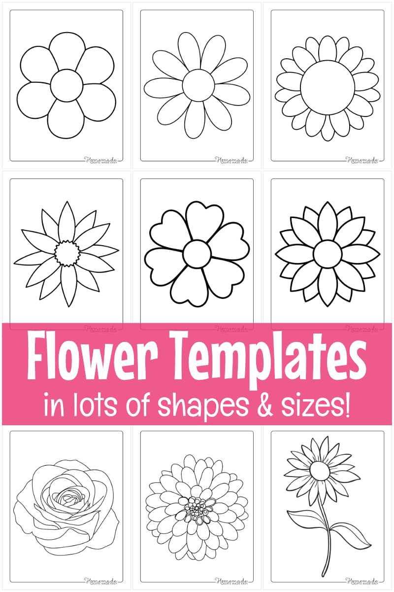 5 Petal Flower Template Free Printable