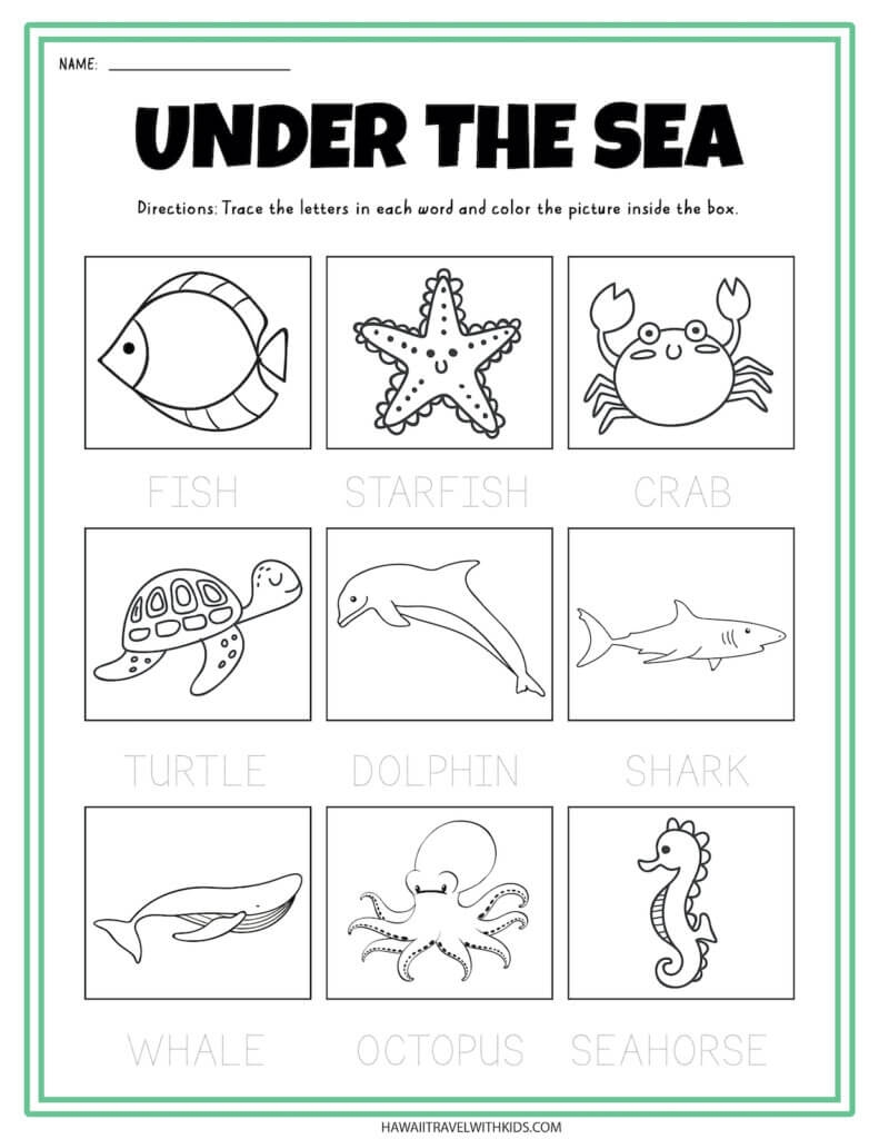 Free Printable Ocean Activity Pages For Preschoolers And 