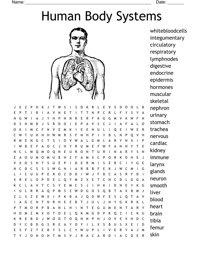 Anatomy Word Search Printable Free