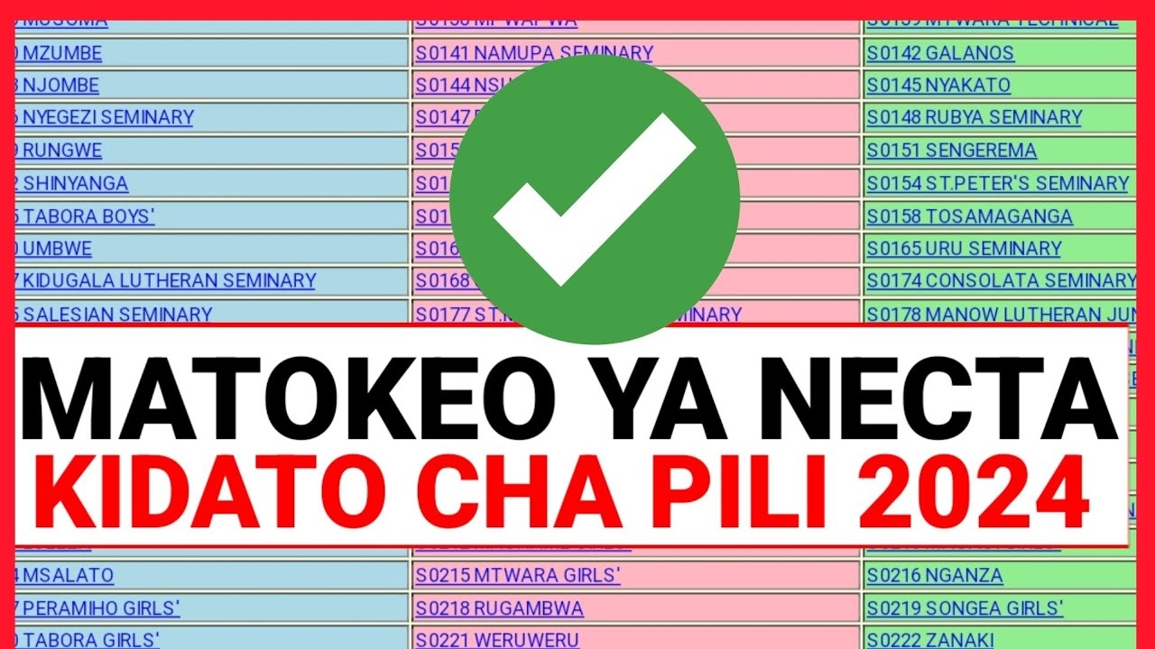  MATOKEO YA FORM TWO 2024 2025 Necta Kidato Cha Pili 