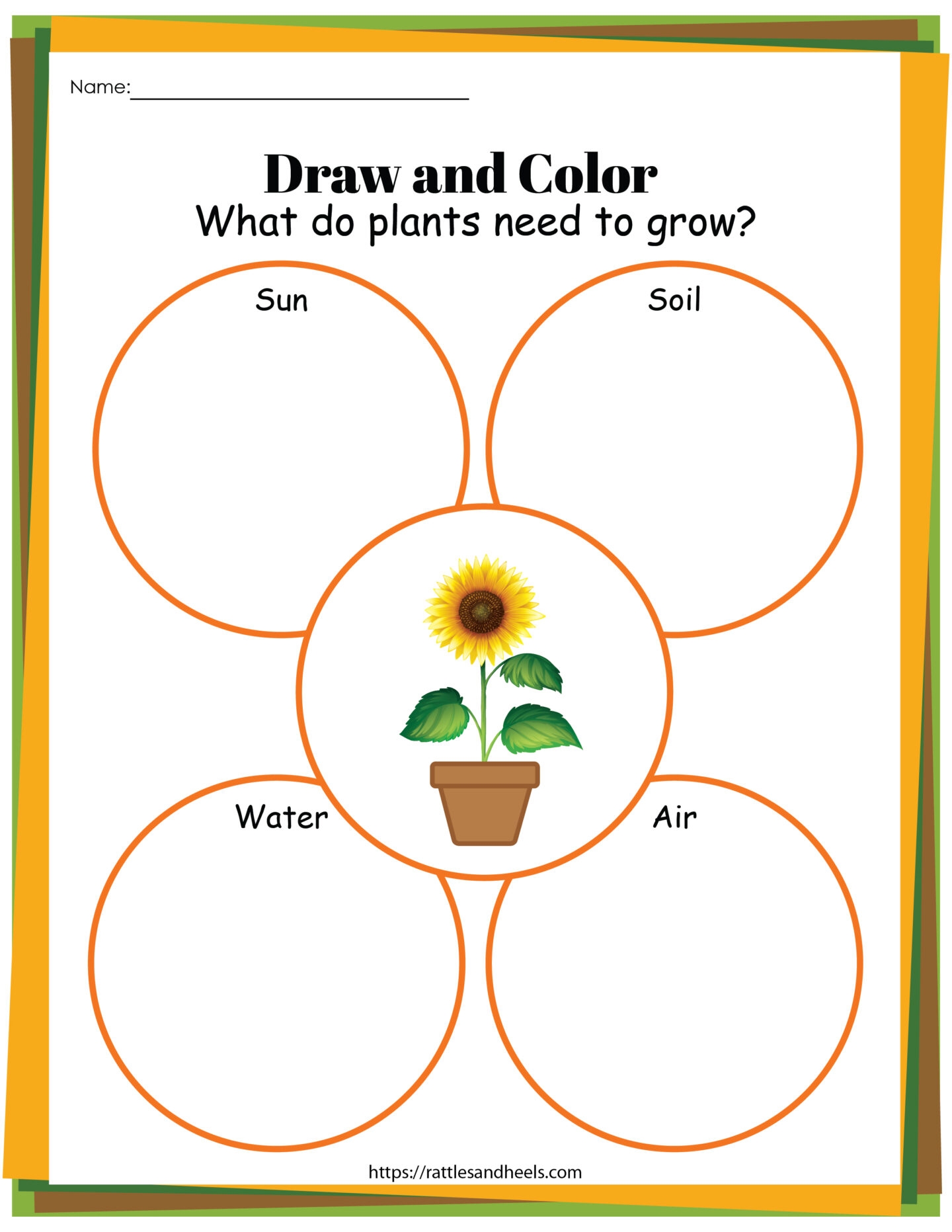Printable Plant Life Cycle Worksheet Pdf