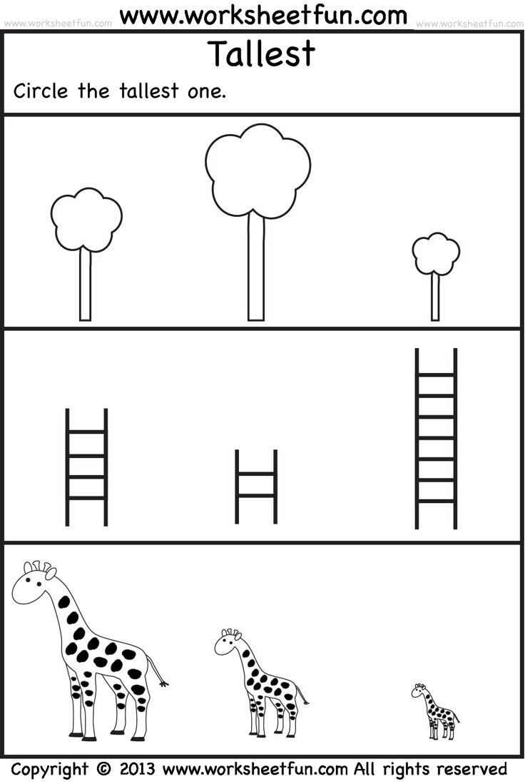 Free Printable Worksheet Preschool
