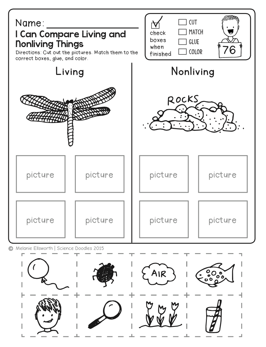 Science Worksheets Word Lists And Activities GreatSchools 