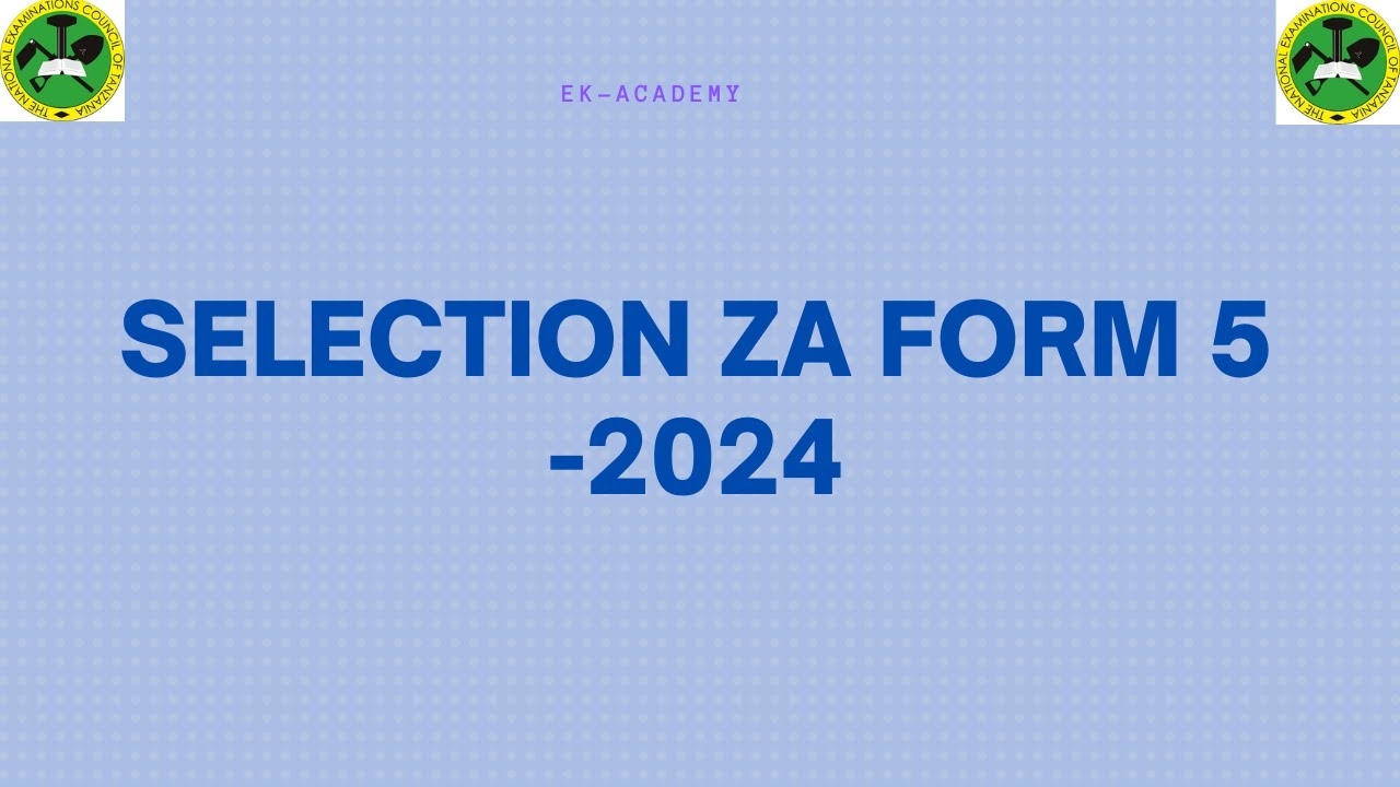 TAMISEMI FORM FIVE SELECTION 2024 2025