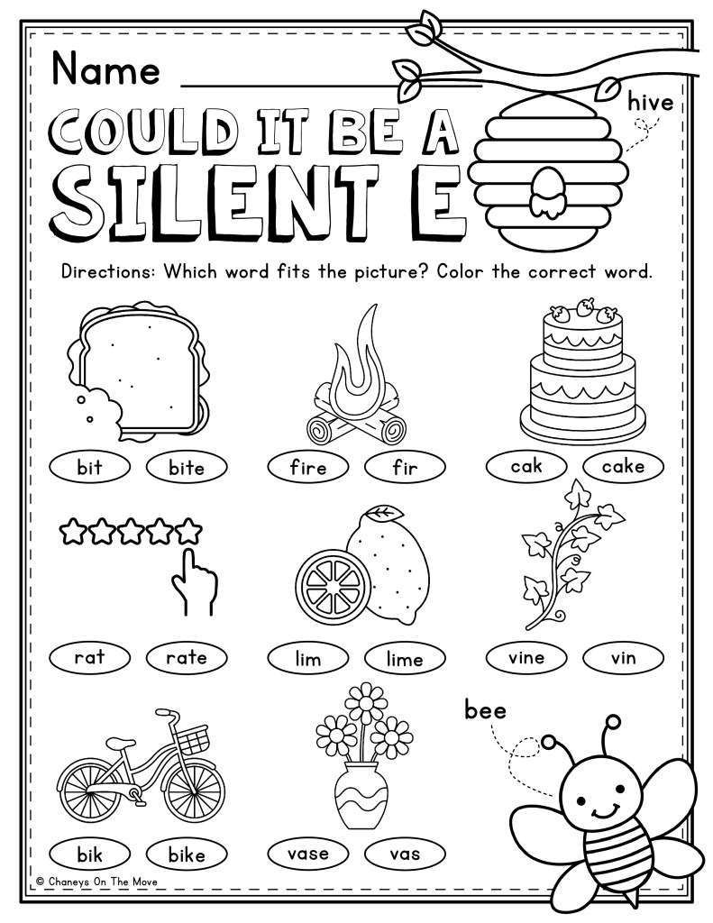 COULD IT BE A SILENT E WORKSHEET Chaneys On The Move 