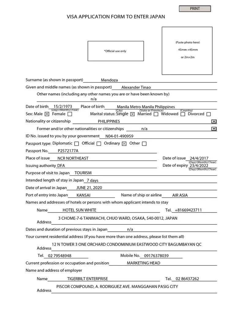 Japan Visa Application Form PDF Travel Visa Passport