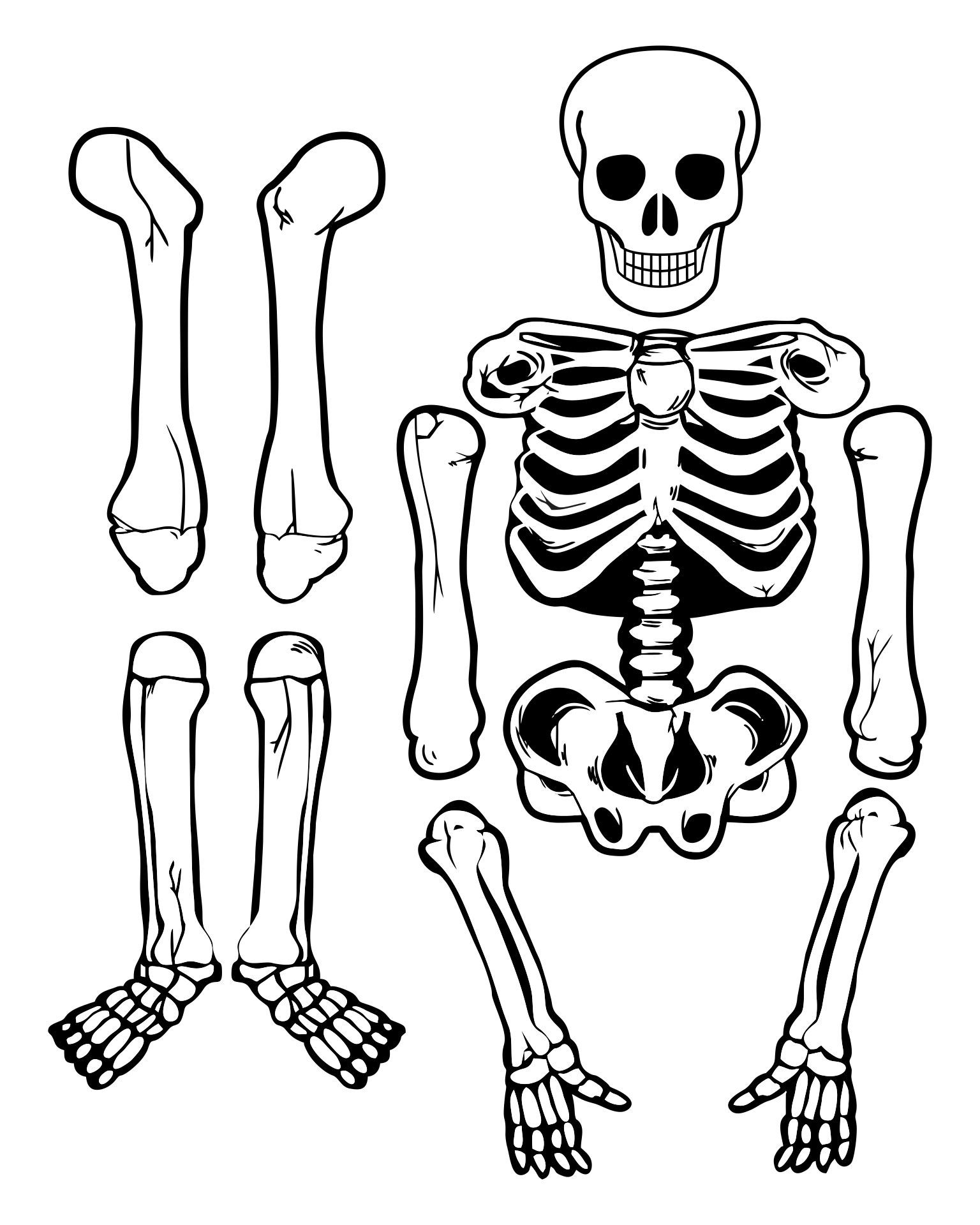 Printable Picture Of A Skeleton