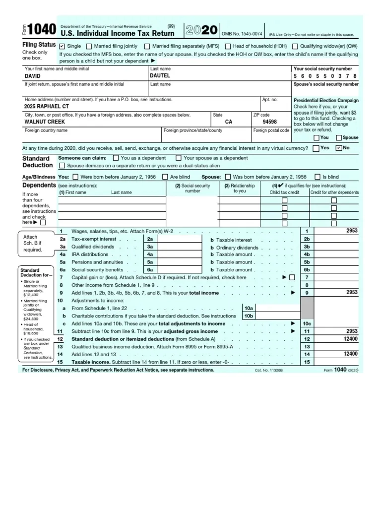 2020 IRS Form 1040 Instructions PDF Tax Refund Irs Tax Forms