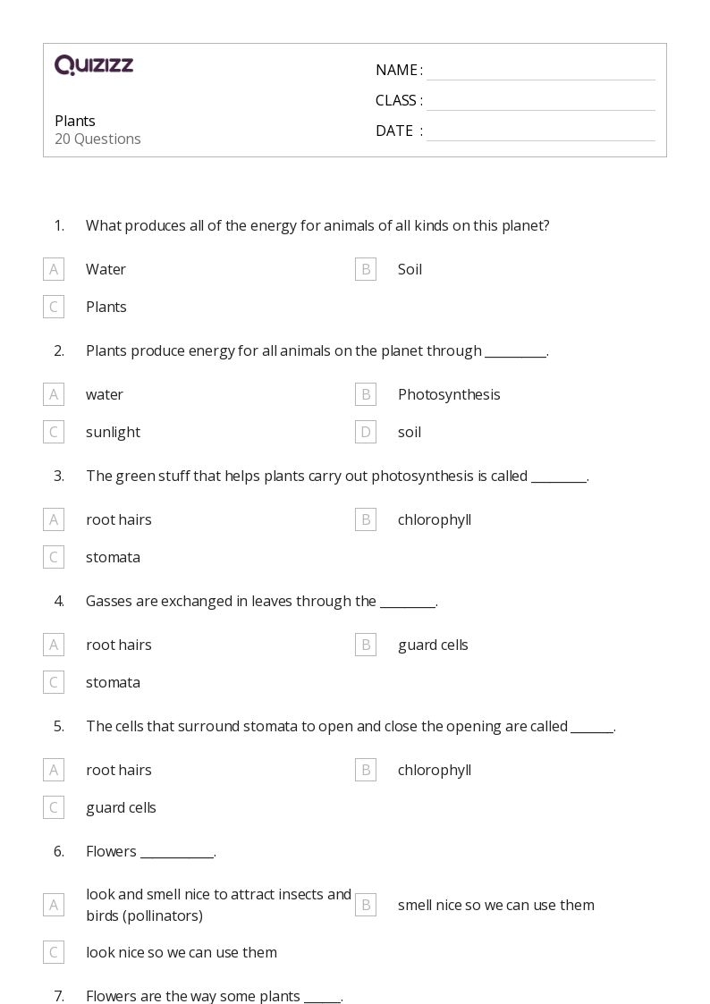 50 Plants Animals And The Earth Worksheets For 3rd Class On 