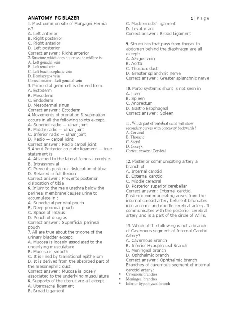 Anatomy Quiz For Medical Students PDF Common Carotid Artery 