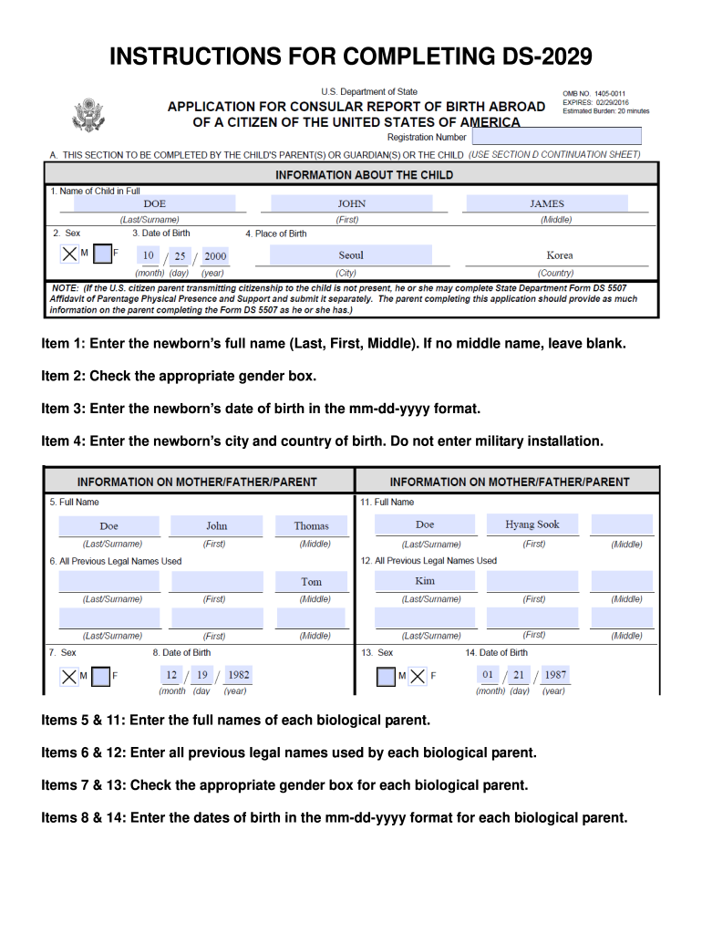 What Is Form Ds-2029