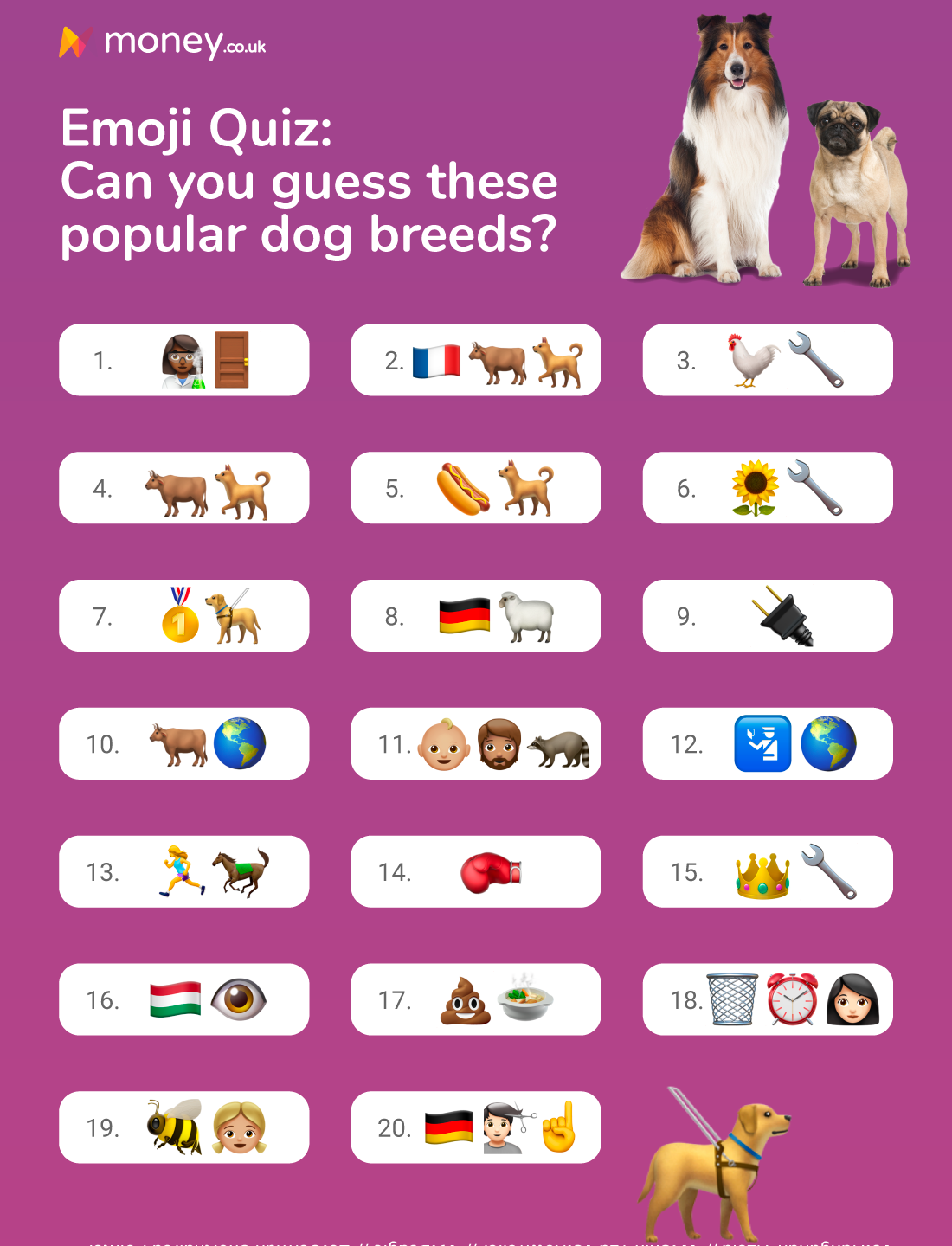 Printable Dog Breed Quiz