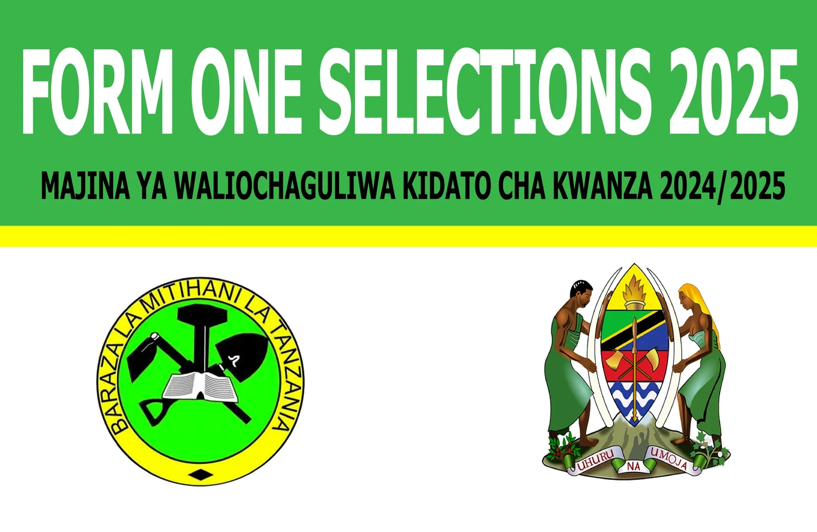 Form One Selection 2026 Mwanza Waliochaguliwa Kidato Cha Kwanza 