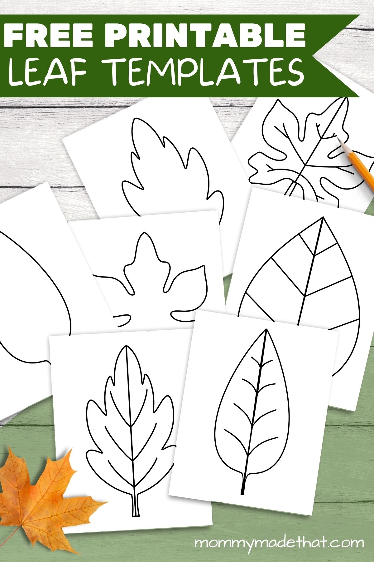Leaf Template Free Printable