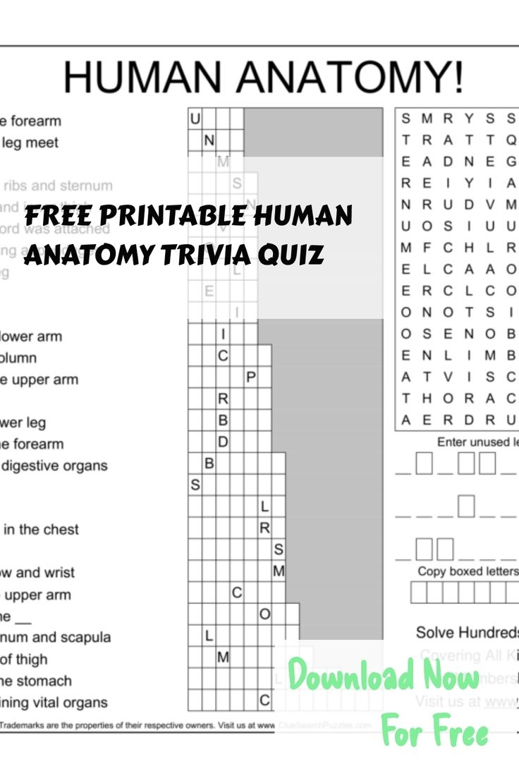 Free Printable Human Anatomy Trivia Quiz