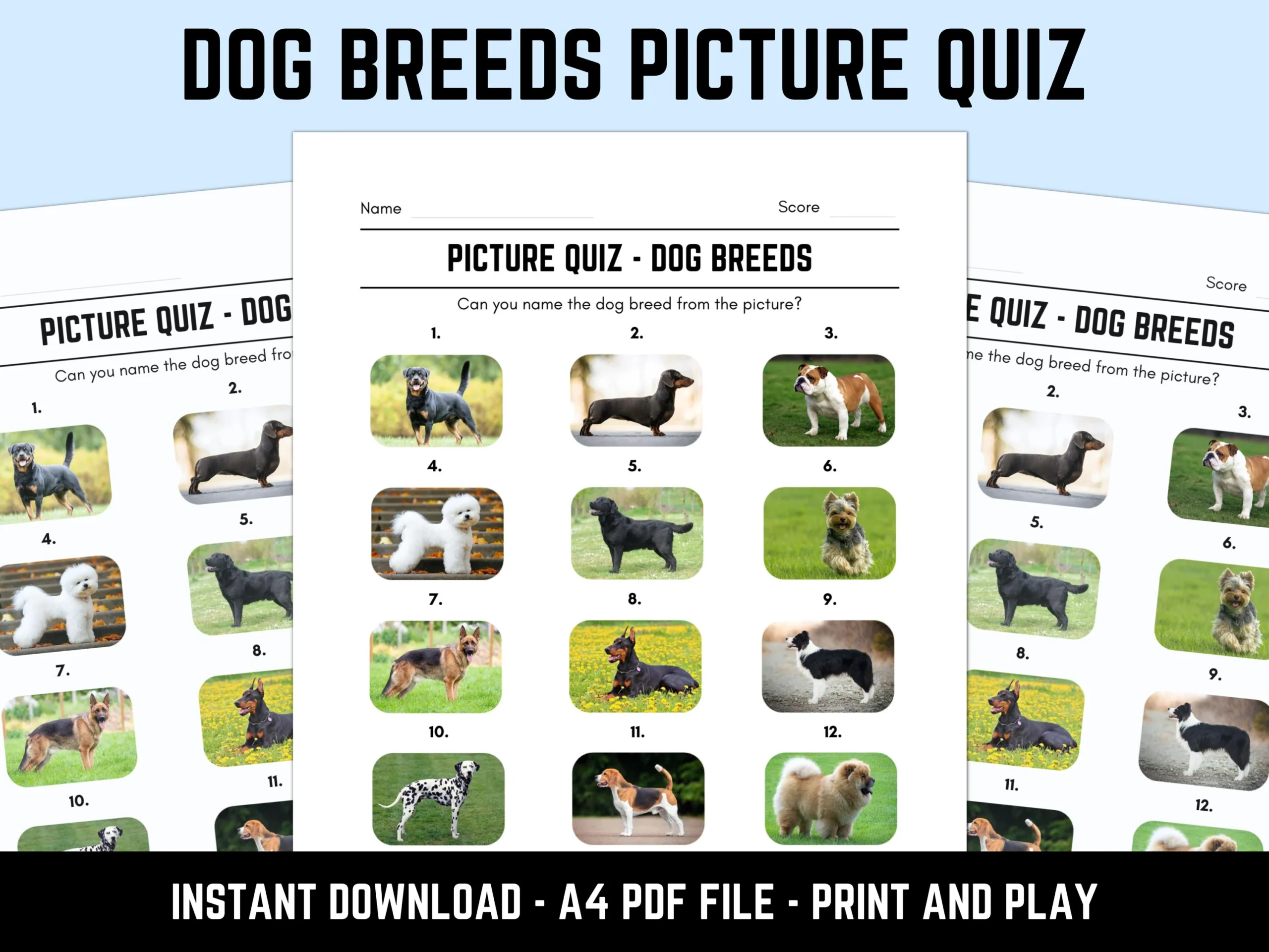 Guess Which Dog Quiz Dog Breed Picture Quiz Guess The Dog 