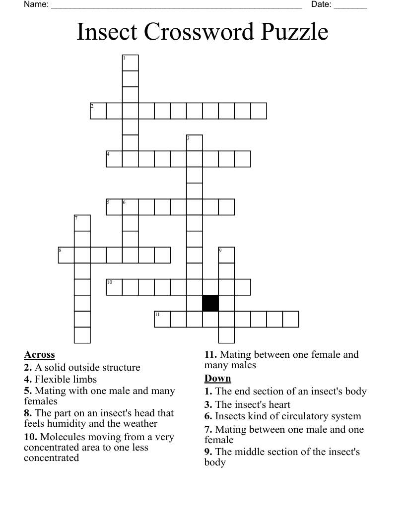 Insect Crossword Puzzle WordMint