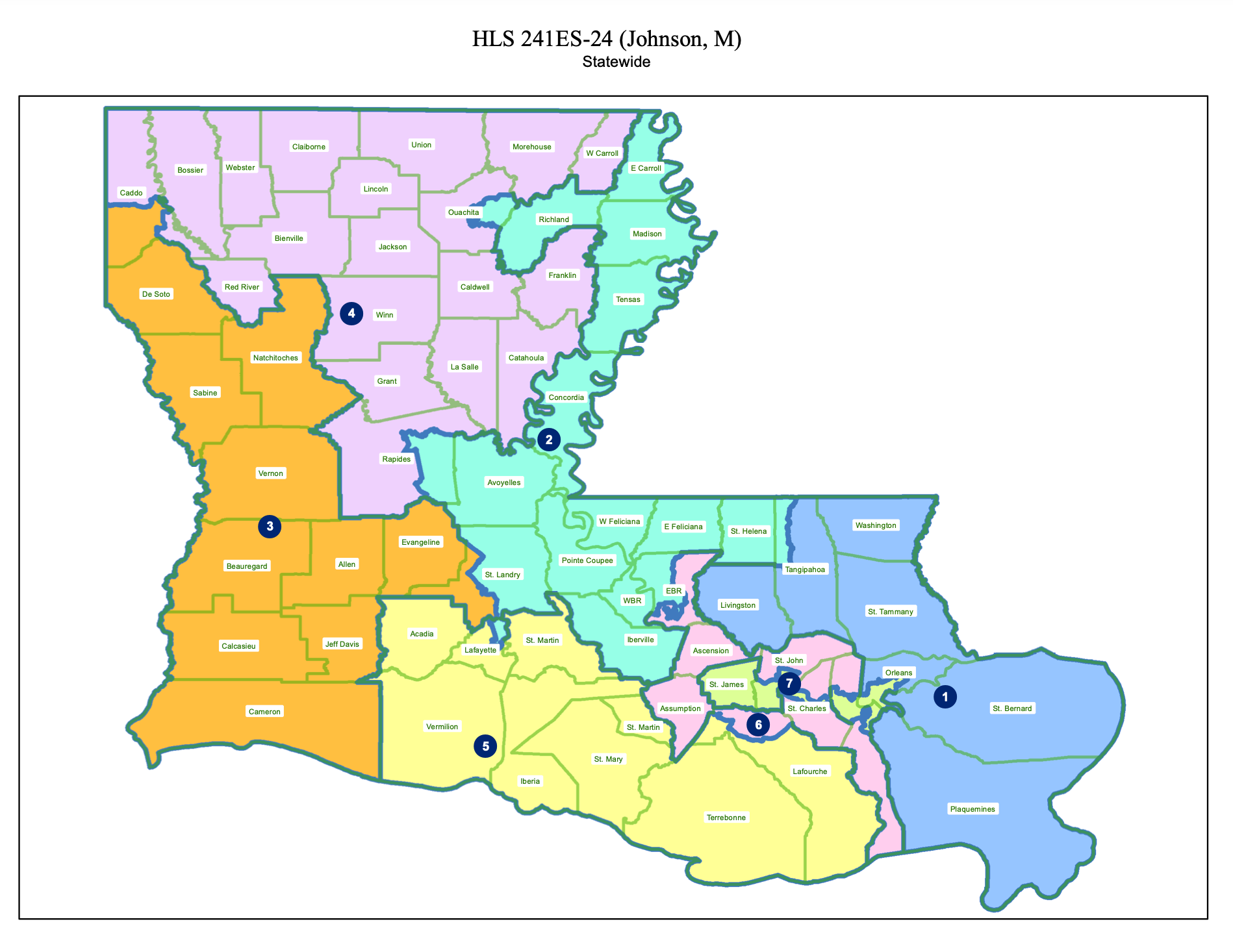 Louisiana 2024 Form L-1