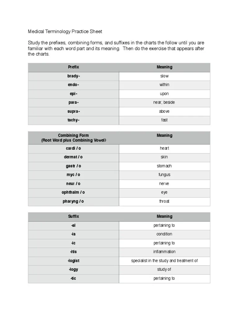 Free Printable Medical Terminology Worksheets