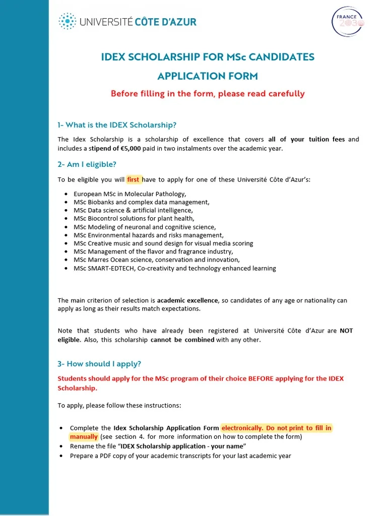 MSC SCHOLARSHIP APPLICATION FORM 2024 2025 PDF