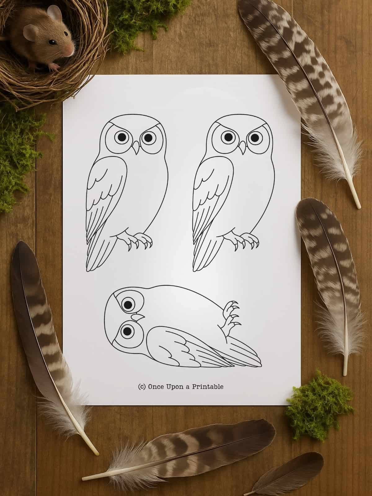 Free Owl Template Printable