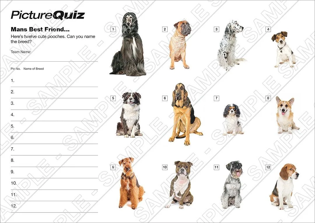 Picture Quiz Dog Breed Finder Quiz Breed Selector Quiz Best Dog 