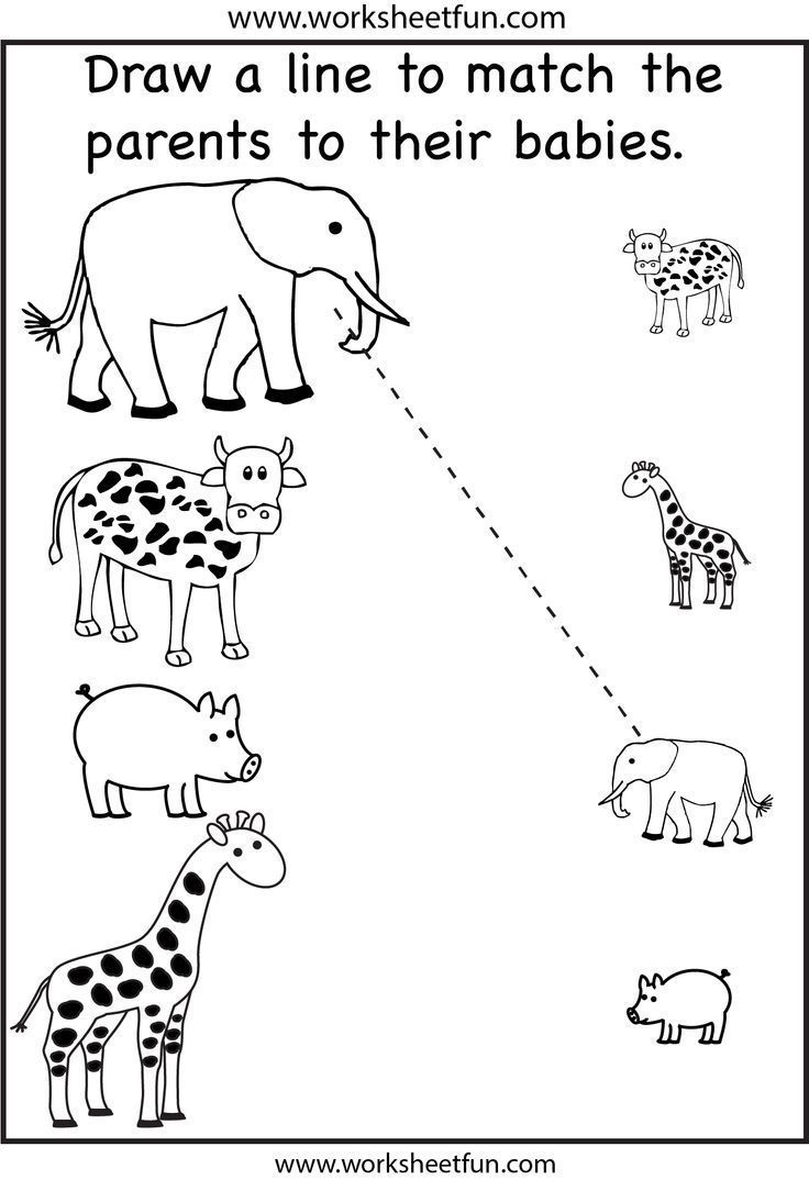Printable Pre K Worksheets Pdf