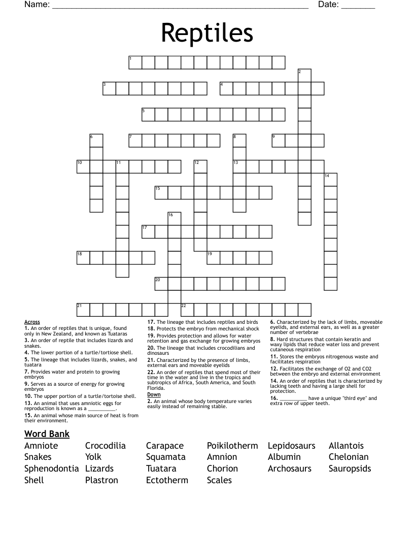 Reptiles Crossword WordMint
