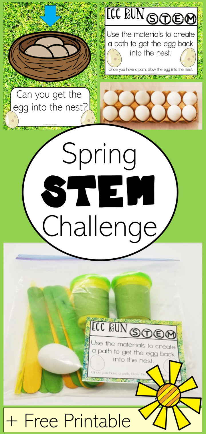 Free Printable Preschool Stem Ideas