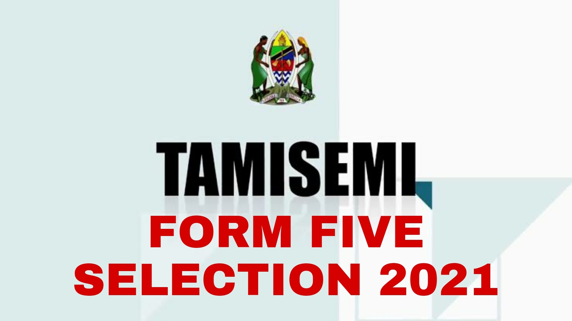 TAMISEMI Form Five Selection 2021 Waliochaguliwa Kidato Cha Tano 