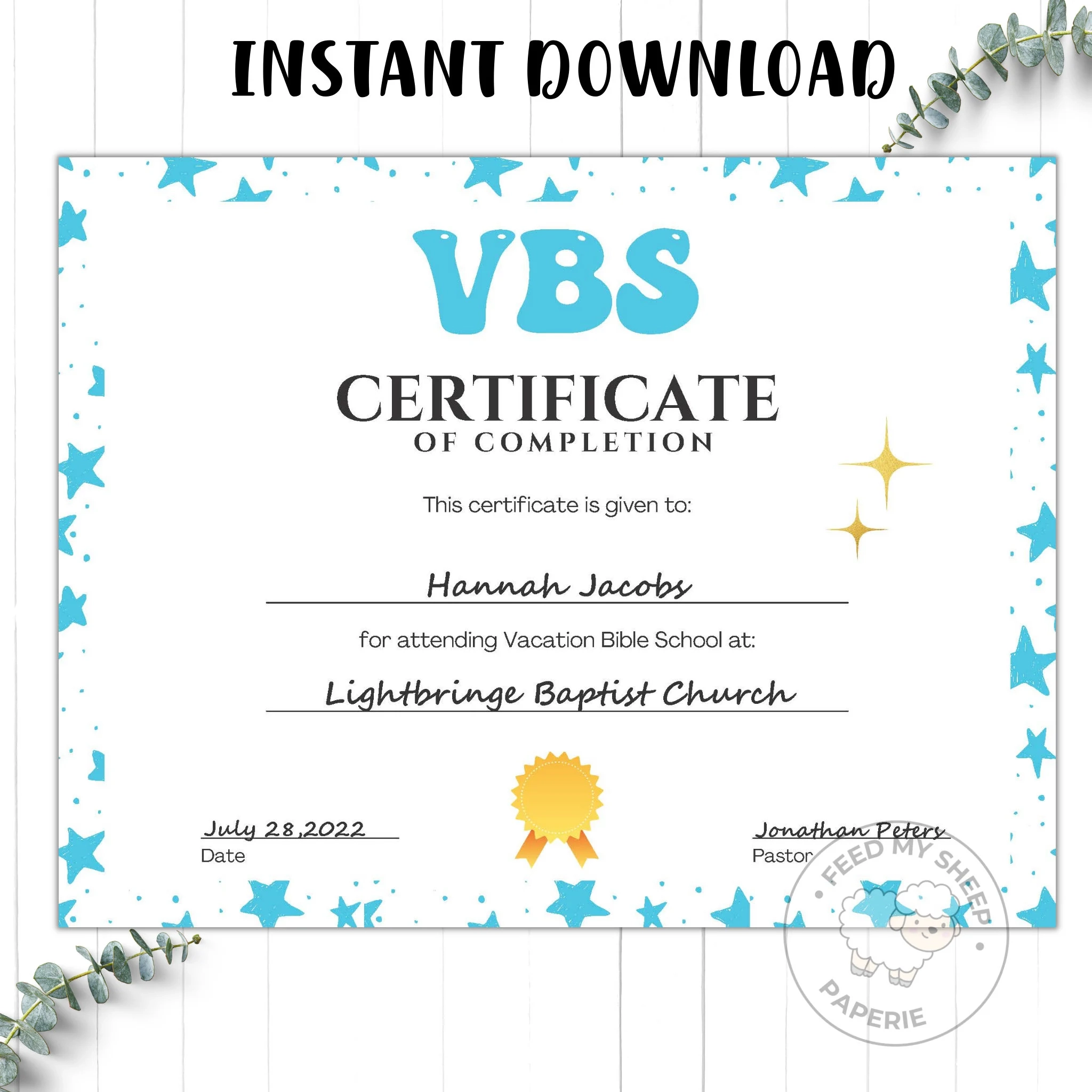 VBS Certificate Of Completion Editable Printable instant 