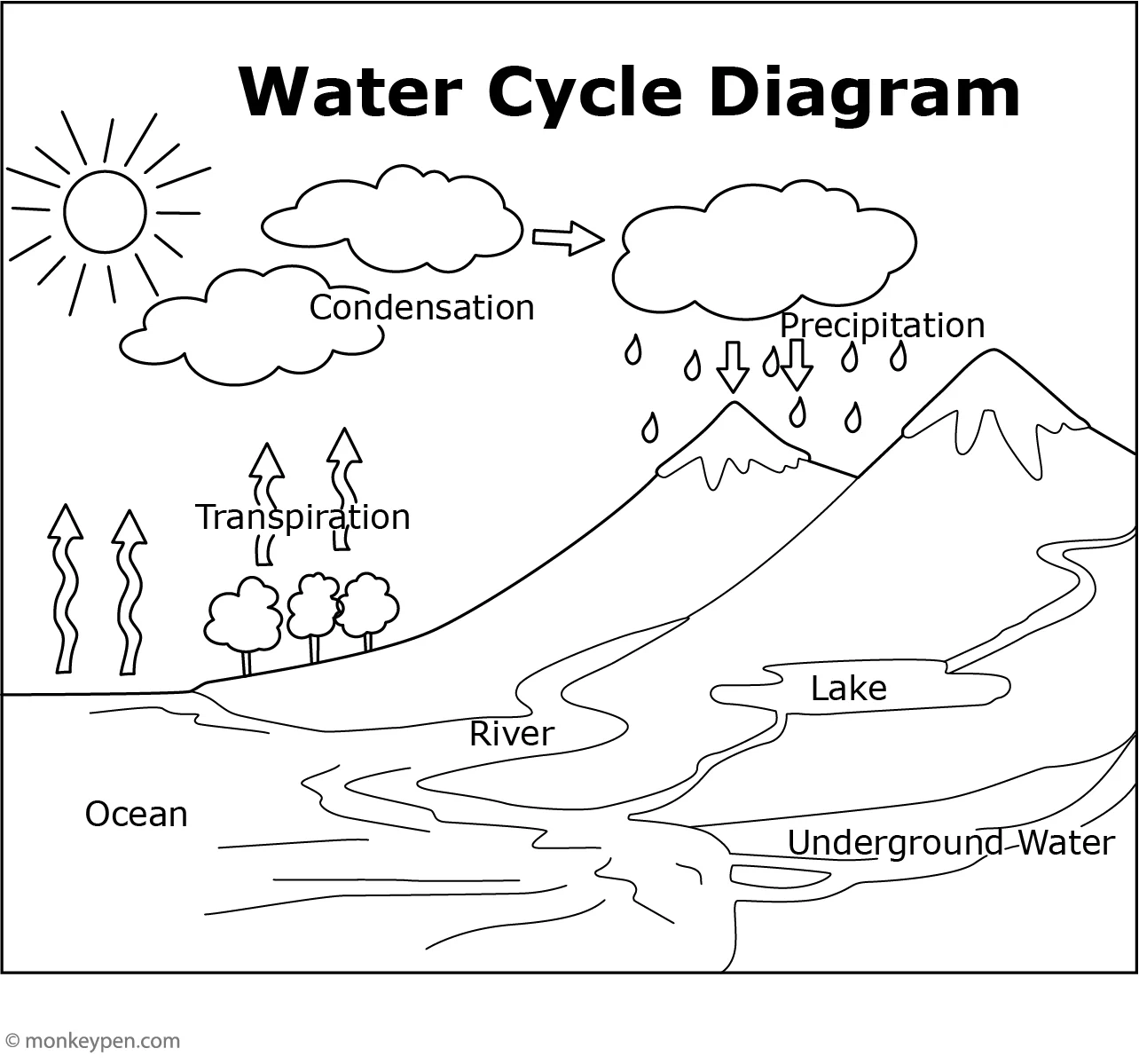 Water Cycle Free Printable