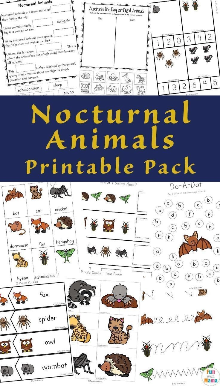 Your Kids Will Enjoy This Nocturnal Animals Printable Pack