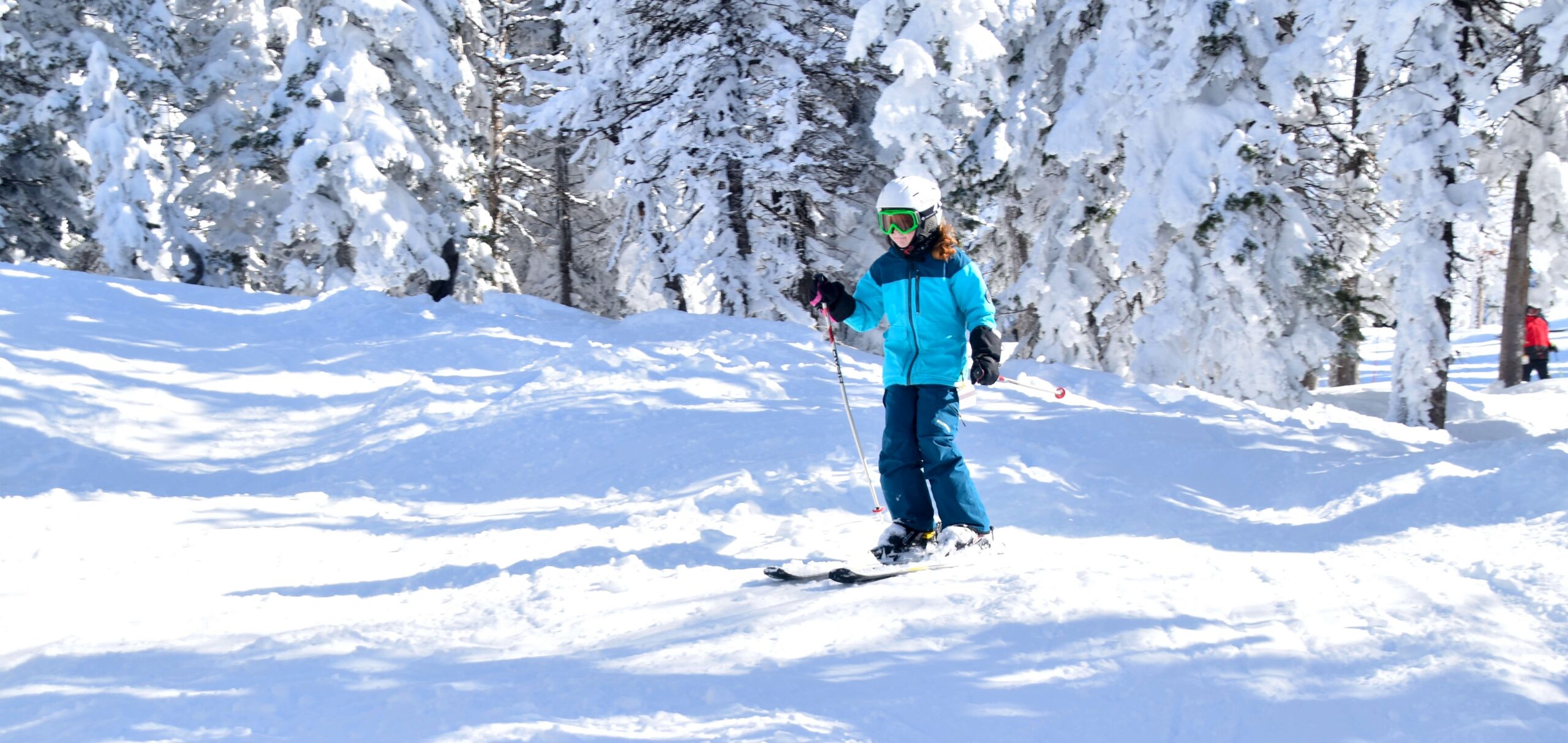 Free Printable Skiing Images